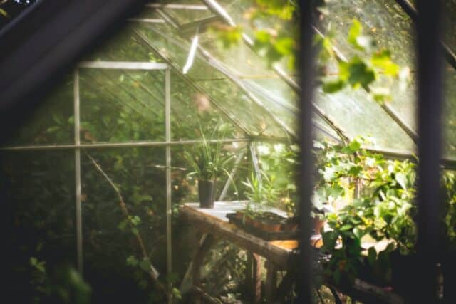 casetta da giardino