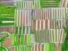 Carbon farming: l'agricoltura che aiuta l'ambiente (e l'uomo)