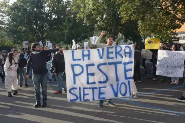 Repressione sistemica, il caso dei maiali del Progetto Cuori Liberi Repressione sistemica, il caso dei maiali del Progetto Cuori Liberi