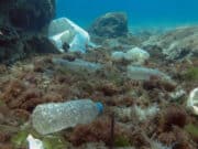 Rifiuti di plastica sul fondo dell'oceano.