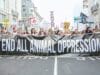 Essere antispecista oggi non implica essere vegani