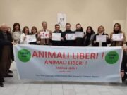 Sit in ad Avellino per la protezione del degli animali e dell'ambiente