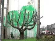 Banksy, l'albero di Finsbury Park - fonte: www.informazione.it