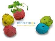 Gadget ecologici