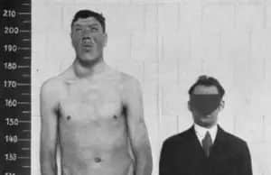 Adam Rainer