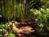 COP16 - biodiversità