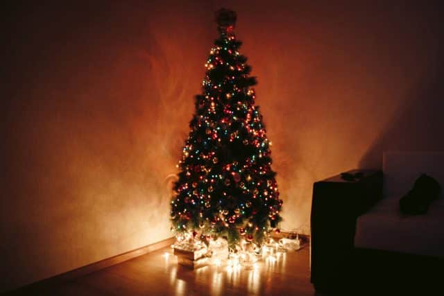 Idee regalo Natale sostenibile