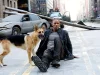Cinematografia e animali: cosa dice il nuovo decreto
