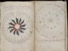Manoscritto di Voynich