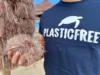 La petizione di Plastic Free contro l'inquinamento da plastica