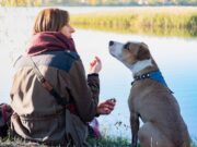 L'importanza di proteggere gli animali: un impegno etico, sociale e morale