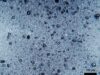Ogni giorno inaliamo fino a 68.000 particelle di microplastiche