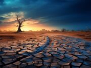 Dieci anni di surriscaldamento globale: Capitalocene e Sumud Dieci anni di surriscaldamento globale: Capitalocene e Sumud