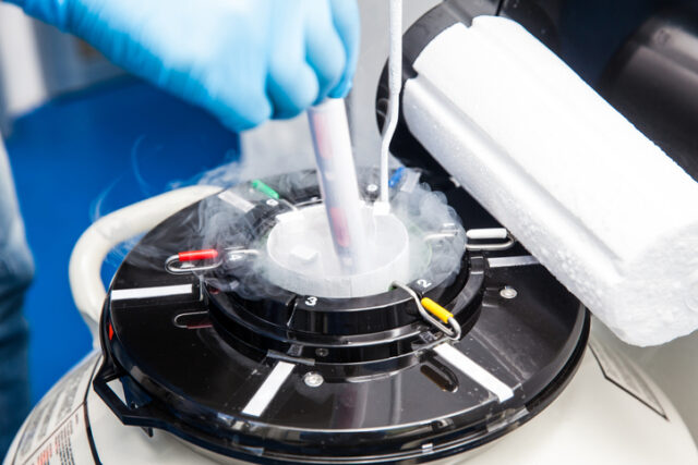 Liquid nitrogen cryogenic tank at laboratory Di Lauro (M5S) a sostegno della crioconservazione degli ovociti