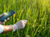 Plantvoice