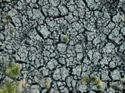 Benvenuti nell’era della bancarotta idrica globale Benvenuti nell'era della bancarotta idrica globale