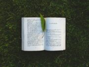 Il secolo della velocità: dal tempo ritrovato di Proust ai reel di Booktok velocità Proust Booktok
