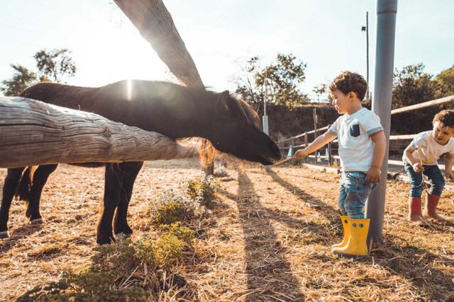 bambini-nella-campagna Quando gli animali diventano attrazione da esporre